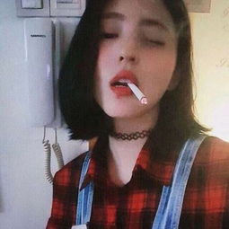 数码暴龙py版破解版下载